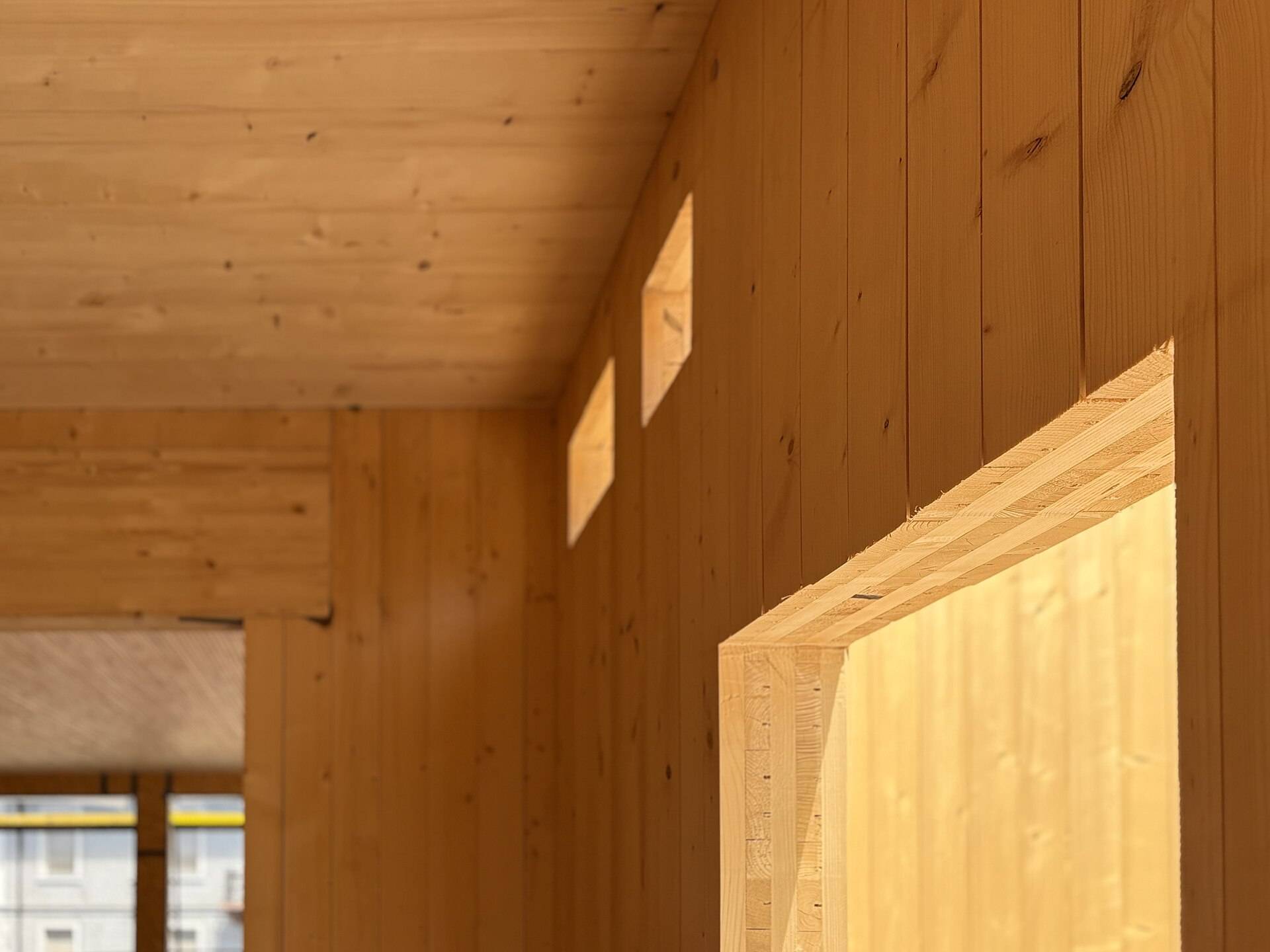 Bare cross laminated timber walls and ceiling inside a building, a doorway lit from the right