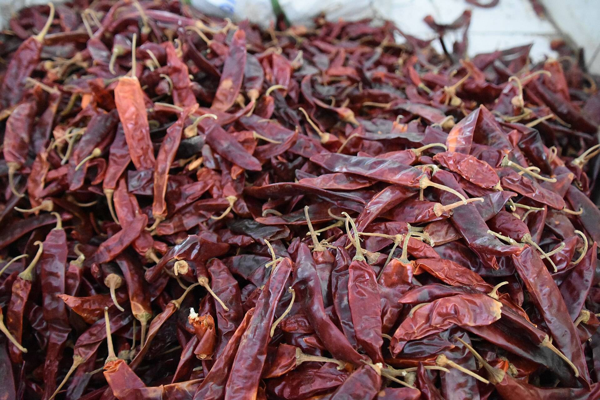 A deep pile of dried red chillies, close