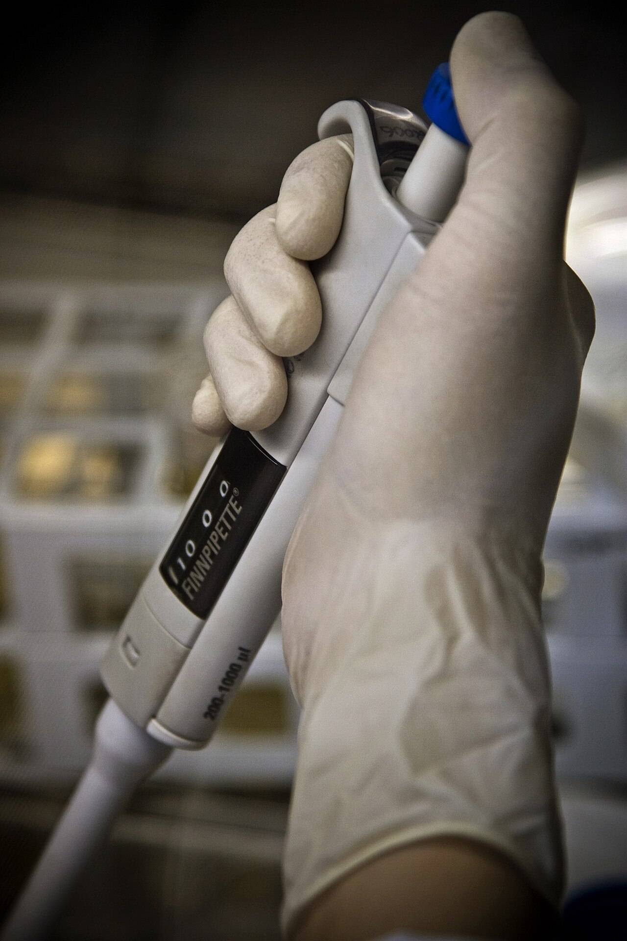A gloved hand gripping a pipette at a lab bench, the tip pointing down
