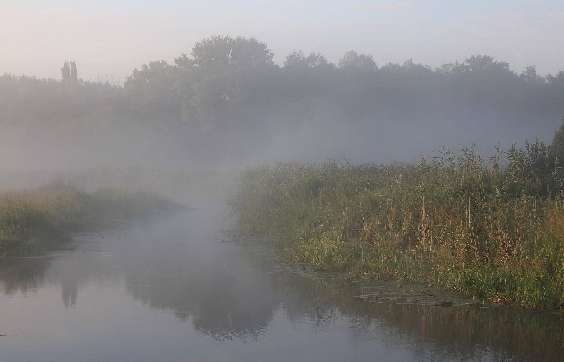 A slow river in morning fog, reeds along one bank and trees doubled in the water