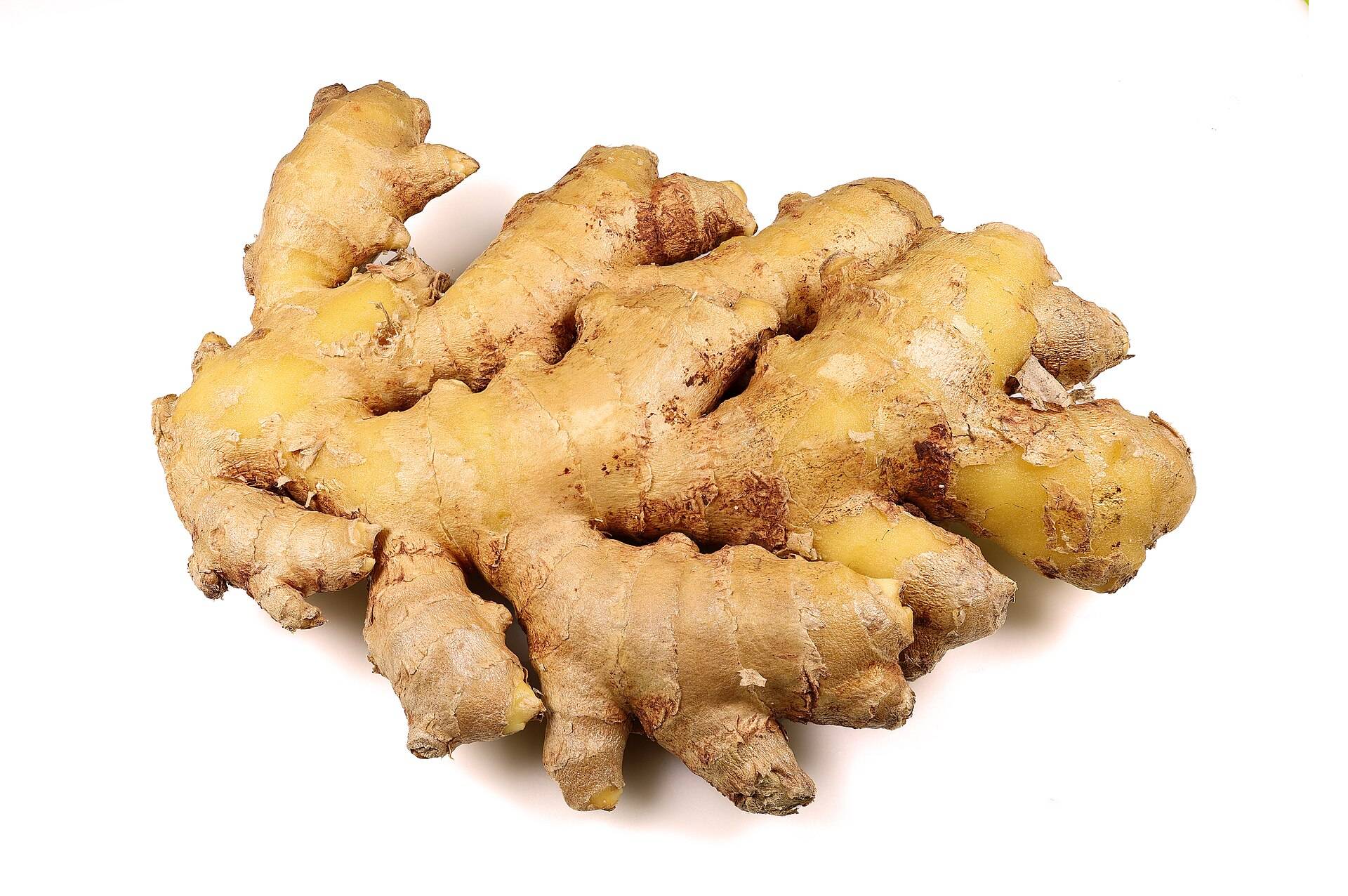 A knobbly hand of fresh ginger root