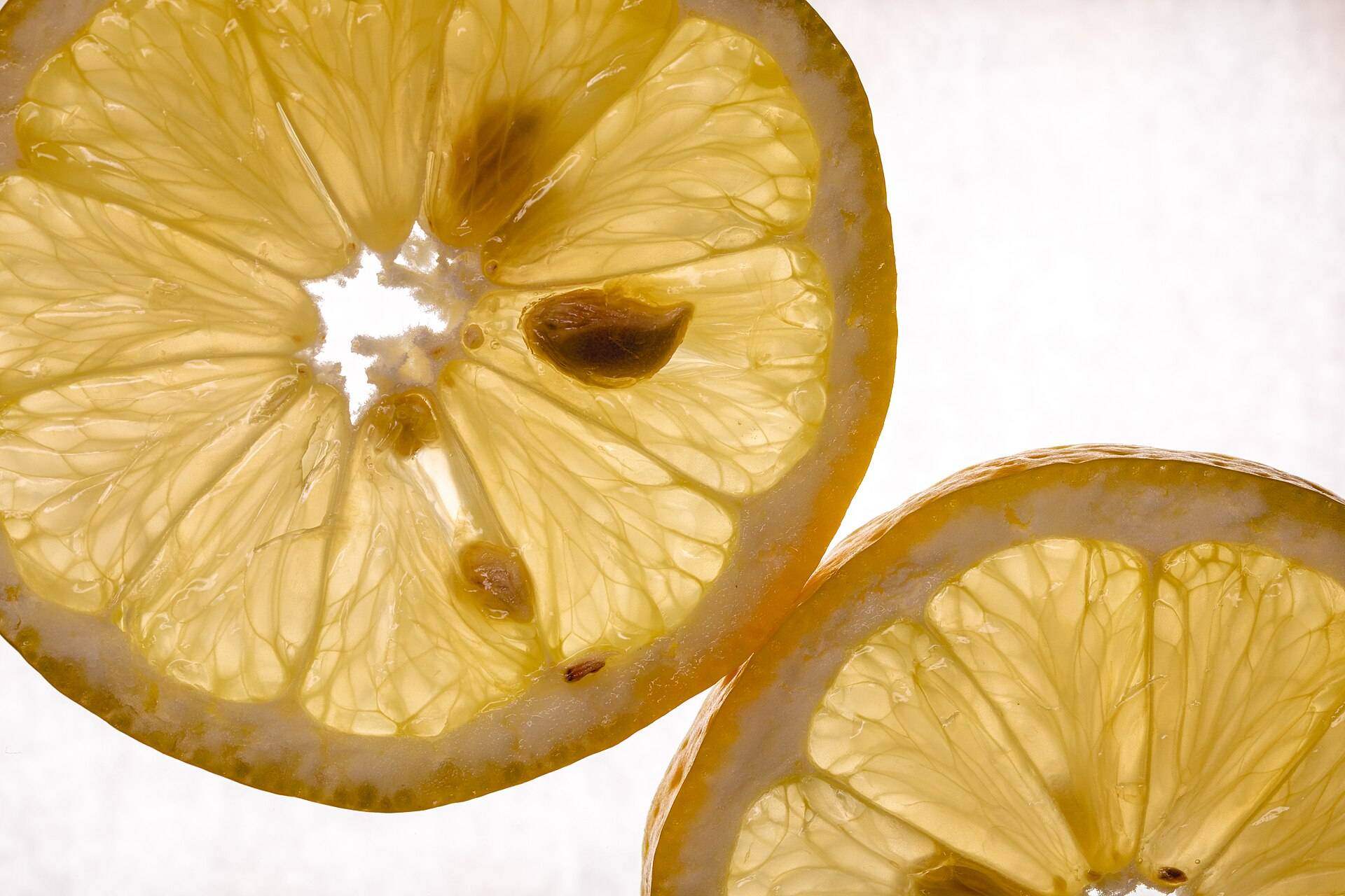 Two thin lemon slices lit from behind, every segment glowing