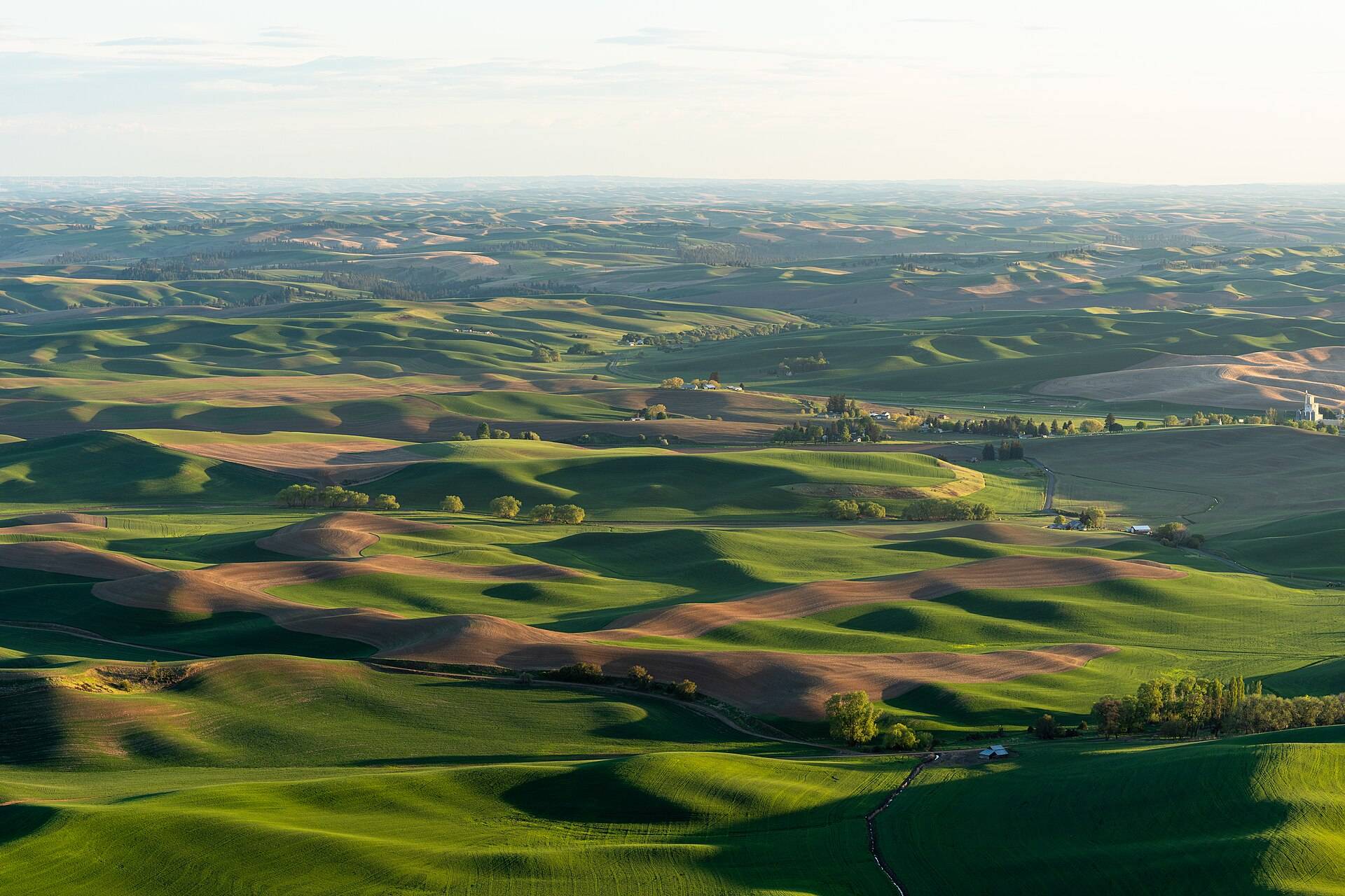 Soft green rolling hills running to a hazy horizon in early morning light