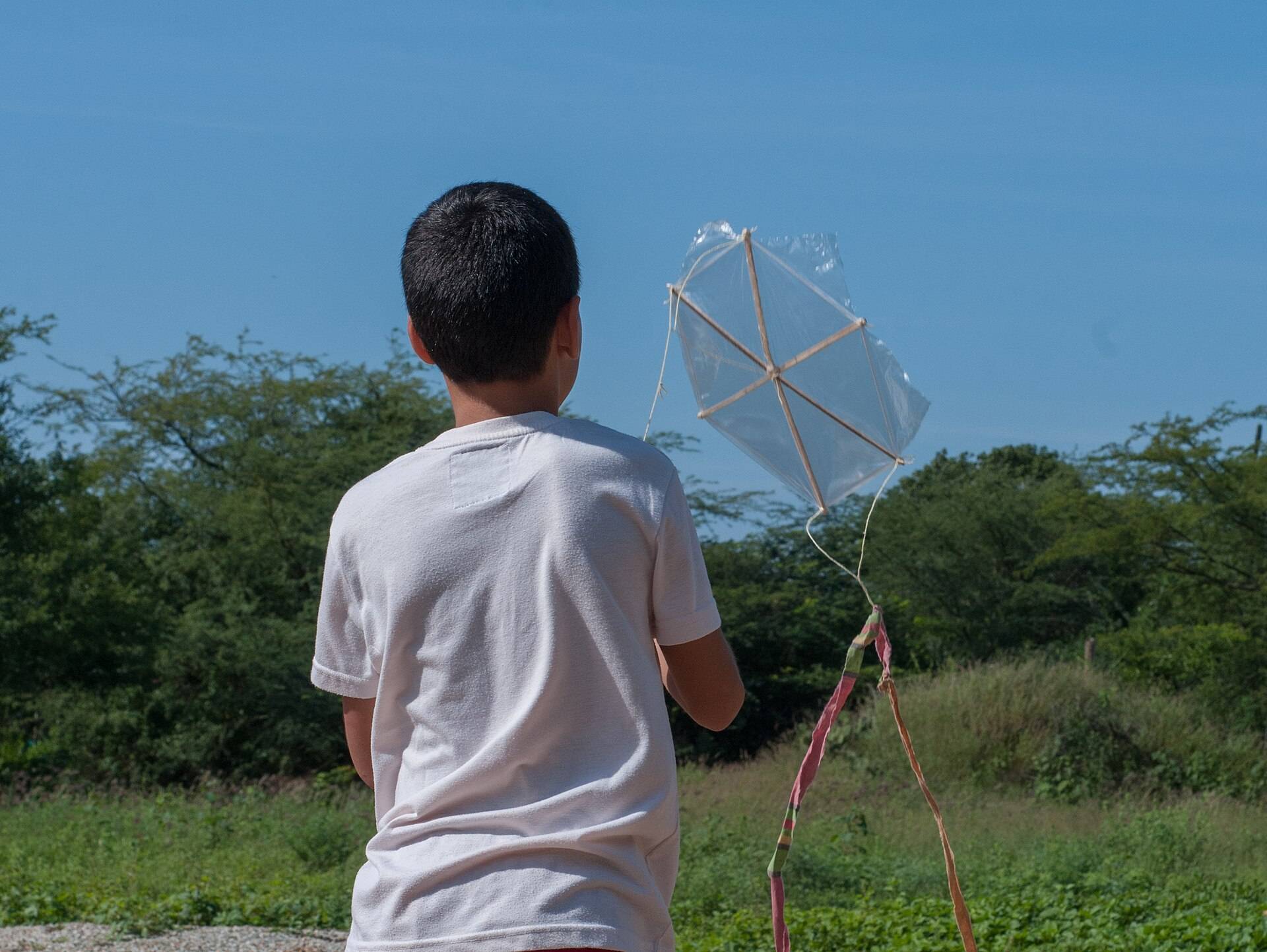 A boy seen from behind holding up a homemade kite against a blue sky