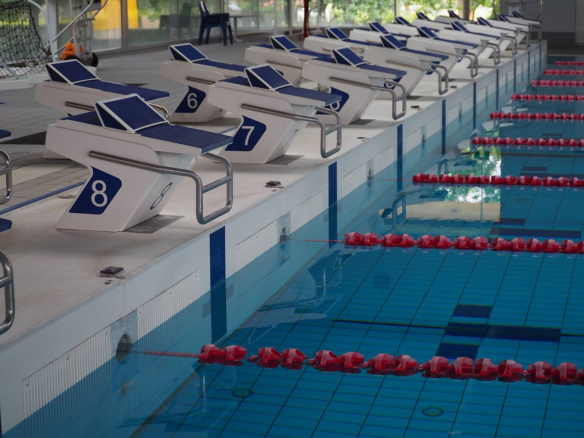 White starting blocks along a clear blue pool divided by red lane ropes