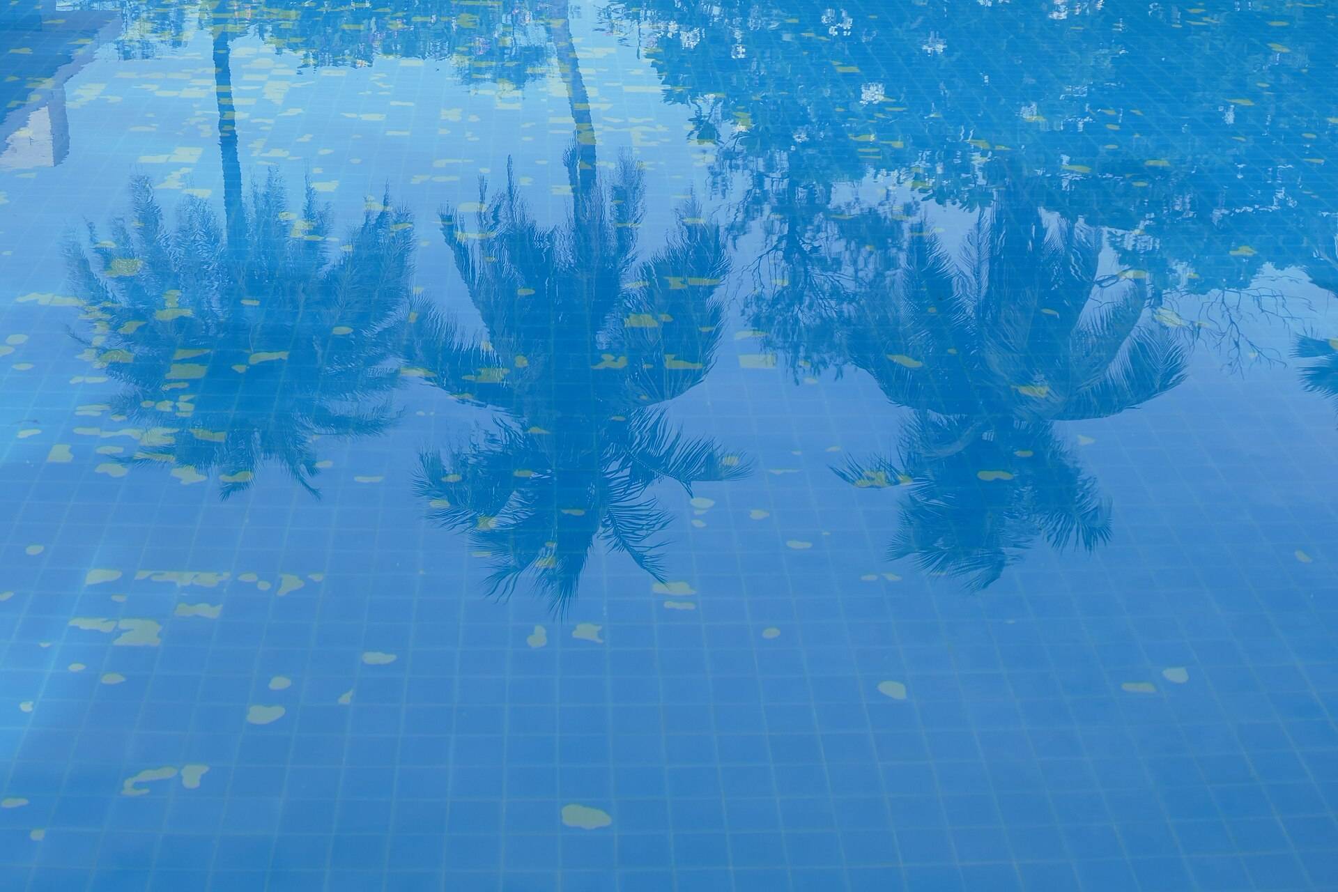 Still blue pool water with the reflections of palm trees across the tiles