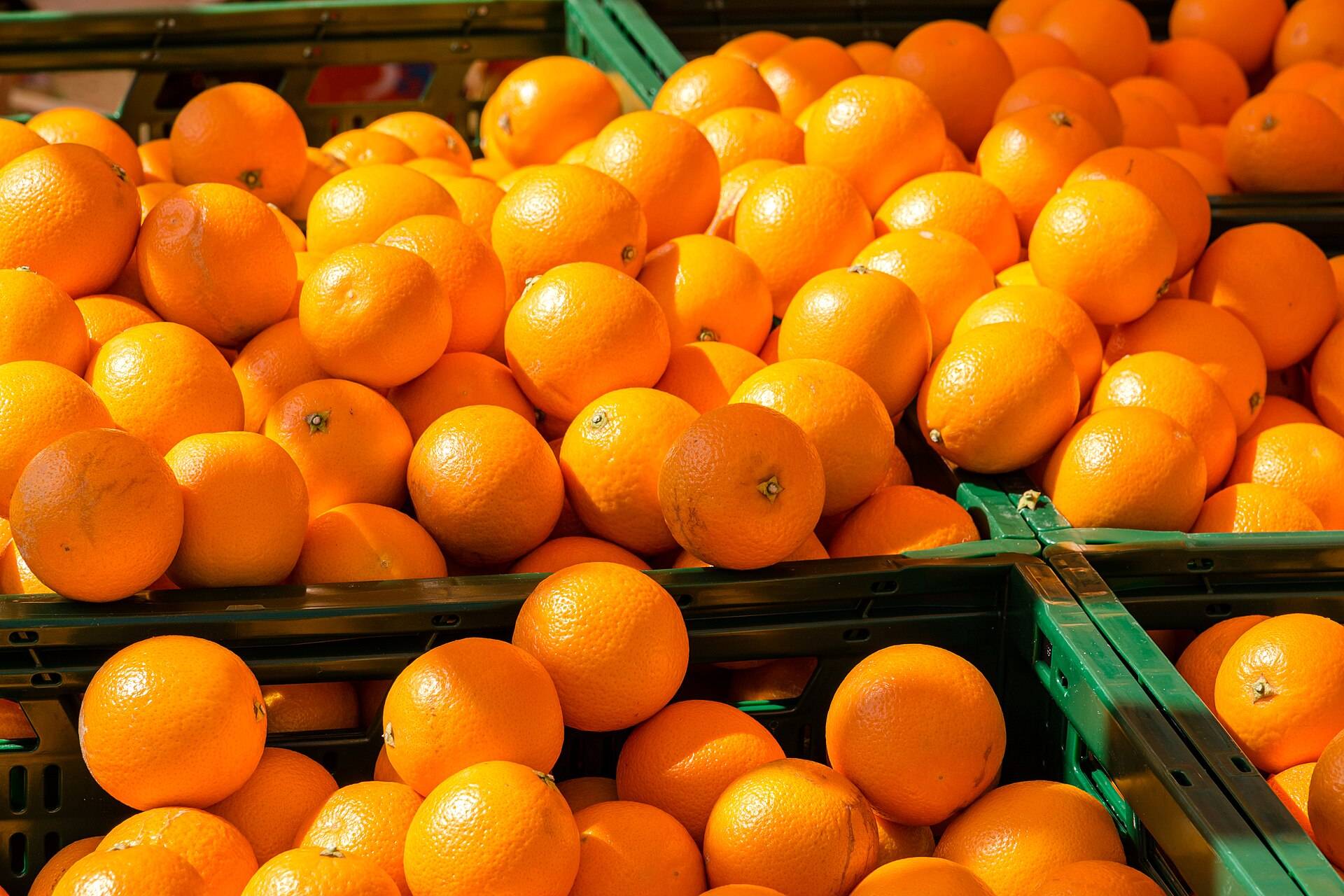 Market crates heaped with bright oranges